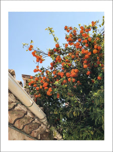 Palma - Lively Bay - Posters - Livelybay.com