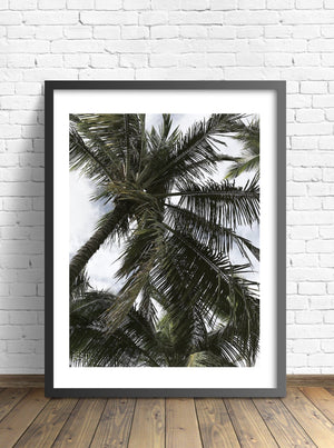 Caribbean - Lively Bay - Posters - Livelybay.com